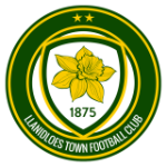 Llanidloes Takım Logosu