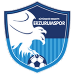 Erzurum FK U19 Takım Logosu