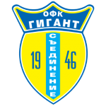 Saedinenie Takım Logosu