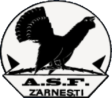 Olimpic Zarnesti Takım Logosu