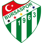 Bursaspor U19 Takım Logosu