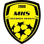Trzebinia Takım Logosu