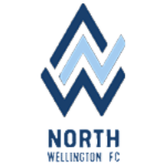 N. Wellington Takım Logosu