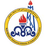 NM Soleyman Takım Logosu