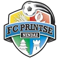 Printse-Nendaz Takım Logosu