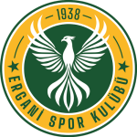 Erganispor Takım Logosu