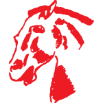 Cavaly Takım Logosu