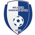 N.Erdemlispor Takım Logosu