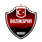 Yozgat Bl Bozok Takım Logosu
