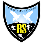 Bayazıt Takım Logosu