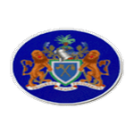 Armed Forces Takım Logosu