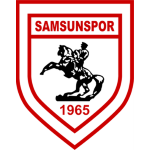 Samsunspor U19 Takım Logosu