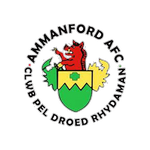 Ammanford Takım Logosu