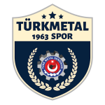 Hacettepe TM 1963 Takım Logosu