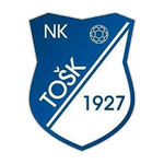 TOSK Tesanj Takım Logosu