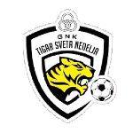Tigar Takım Logosu