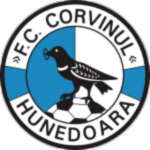C. Hunedoara Takım Logosu
