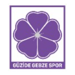 G.Gebze Spor Takım Logosu