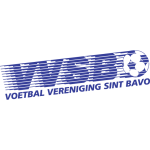 VVSB Takım Logosu
