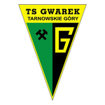 Gwarek TG Takım Logosu