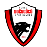 Doğugücü Takım Logosu