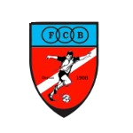 Bogny Takım Logosu