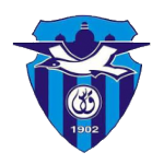 Bur Fouad Takım Logosu