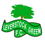 Leverstock Takım Logosu