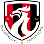 Guilsfield Takım Logosu