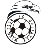 Besiktas Wien Takım Logosu