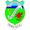 Pontardawe Takım Logosu