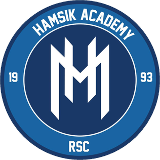 Hamsik Academy Takım Logosu