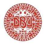Danimarka Takım Logosu