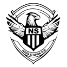 Nazilli Spor U19 Takım Logosu