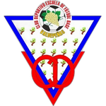Valdepeñas Takım Logosu