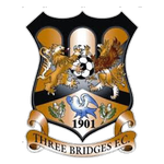 Three Bridges Takım Logosu