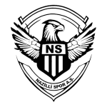 Nazilli Spor Takım Logosu