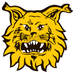 Ilves II Takım Logosu