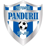 Viitorul TG II Takım Logosu