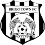Brigg Takım Logosu