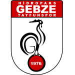 G. Tayfunspor Takım Logosu