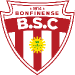 Botafogo BA Takım Logosu