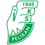 Pelikan Takım Logosu