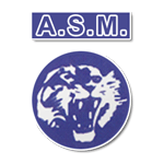 Vénissieux Takım Logosu