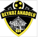 Beykoz Anadolu U19 Takım Logosu