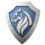 Merani Tbilisi Takım Logosu