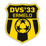 DVS Takım Logosu
