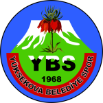 Yüksekovaspor Takım Logosu