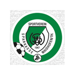 Waidhofen Takım Logosu