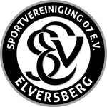 Elversberg Takım Logosu